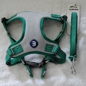 Sonoma Teal and Light Gray Dog Harness with Leash